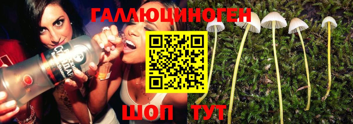 Галлюциногенные грибы Magic Shrooms  Галлюциногенные грибы Psilocybine cubensis  Славгород  Вход с VPN 