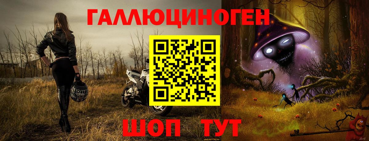 Галлюциногенные грибы Cubensis Славгород